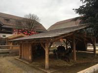 Weihnachten auf Gut Aiderbichl &ndash; &copy; Andreas Wolfsteller (Eberhardt TRAVEL)
