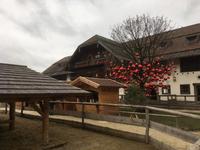 Weihnachten auf Gut Aiderbichl &ndash; &copy; Andreas Wolfsteller (Eberhardt TRAVEL)