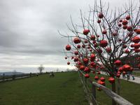 Weihnachten auf Gut Aiderbichl &ndash; &copy; Andreas Wolfsteller (Eberhardt TRAVEL)