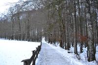Am Königssee &ndash; &copy; Andreas Wolfsteller (Eberhardt TRAVEL)