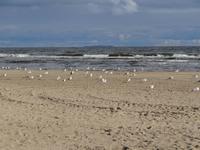 Strand von Karlshagen &ndash; &copy; Christina Günther (Eberhardt TRAVEL)
