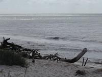 Stilleben am Strand