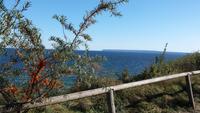 Sanddorn &ndash; &copy; Uta Hertel (Eberhardt TRAVEL)