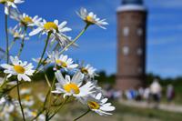 Rügen - Kap Arkona, Putgarten &ndash; &copy; Eric Richter (Eberhardt TRAVEL)