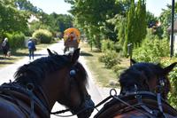 Hiddensee &ndash; &copy; Eric Richter (Eberhardt TRAVEL)