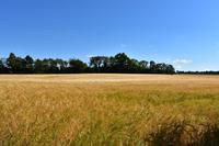 Bornholm &ndash; &copy; Eric Richter (Eberhardt TRAVEL)