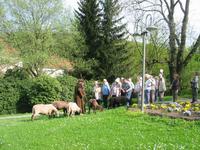 Rundgang mit Schäfer Jonas &ndash; &copy; Gisela Preuß (Eberhardt TRAVEL)