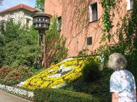 Blumenuhr mit Glockenspiel &ndash; &copy; Gisela Preuß (Eberhardt TRAVEL)