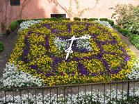 Blumenuhr &ndash; &copy; Gisela Preuß (Eberhardt TRAVEL)