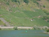 Mosel &ndash; &copy; Harald Kühne (Eberhardt TRAVEL)