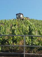 Weinhang Doctorwein &ndash; &copy; Ulrike Blenke (Eberhardt TRAVEL)