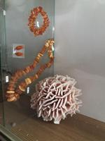 Edelsteinschleiferei  &ndash; &copy; Ulrike Blenke (Eberhardt TRAVEL)