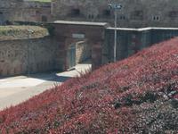 Festung Ehrenbreitstein &ndash; &copy; Ulrike Blenke (Eberhardt TRAVEL)