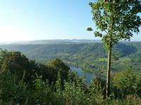 Moselblick aus ca. 100 m Höhe 
