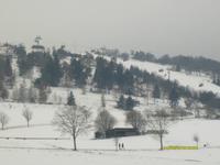 ... am Ettelsberg in Willingen &ndash; &copy; Elke Reuter (Eberhardt TRAVEL)