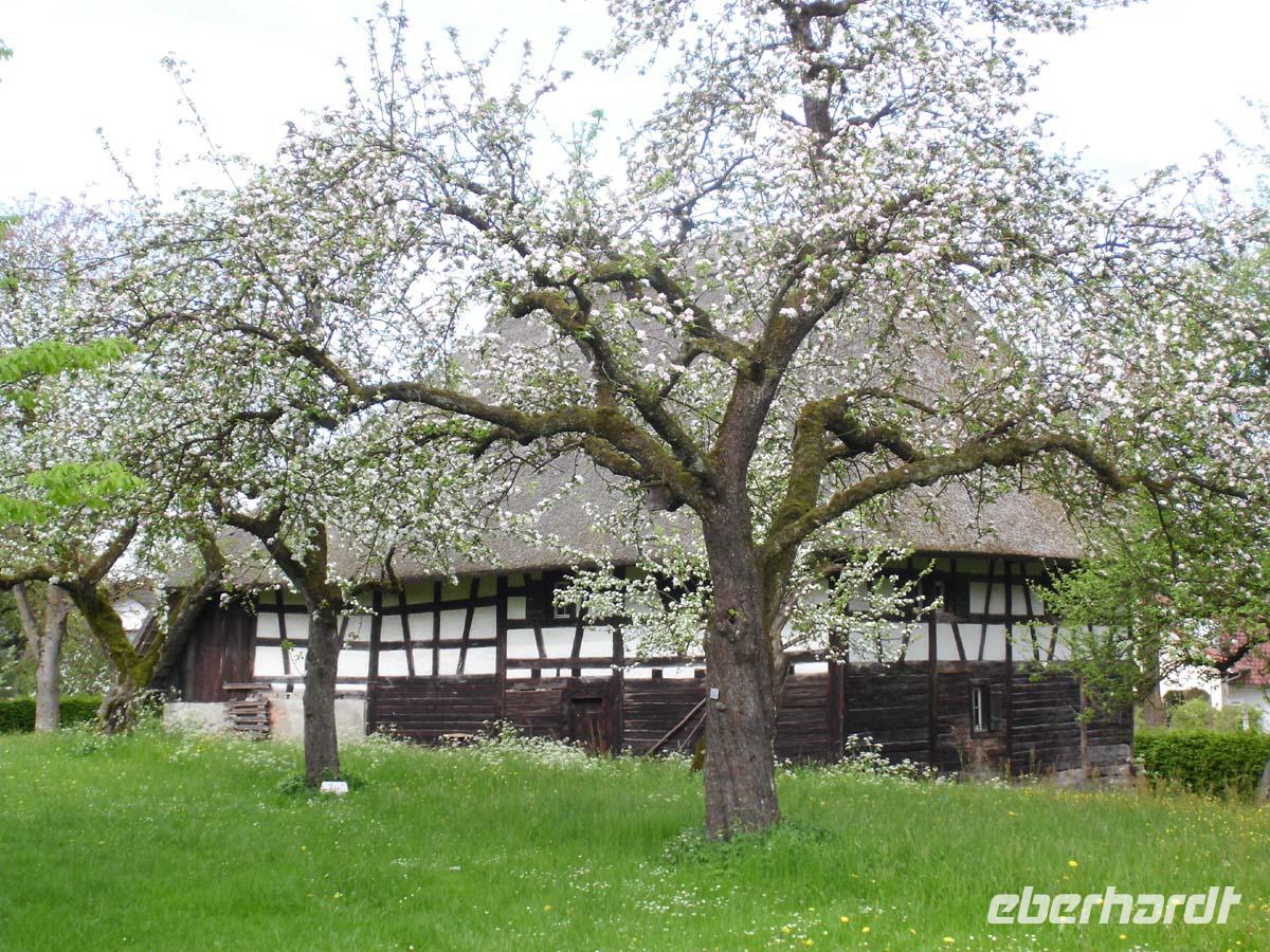 Kürnbach Bauernhaus 2 &ndash; &copy; Peter Rudolph (Eberhardt TRAVEL)