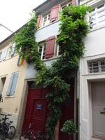 Heidelberg - Eindrücke &ndash; &copy; Hans-Joachim Trutz (Eberhardt TRAVEL)