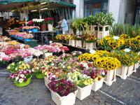 Freiburg &ndash; &copy; Steffi Zimmermann (Eberhardt TRAVEL)