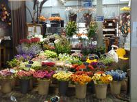Amsterdam- Blumenmarkt &ndash; &copy; Steffi Zimmermann (Eberhardt TRAVEL)
