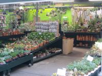 IMG_6542 Blumenmarkt &ndash; &copy; Kerstin Veit (Eberhardt TRAVEL)