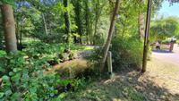 Radtour im Spreewald rund um Burg &ndash; &copy; Kristin Weigel (Eberhardt TRAVEL)