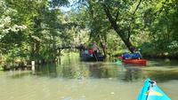 Paddeltour rund um Lübbenau im Spreewald &ndash; &copy; Kristin Weigel (Eberhardt TRAVEL)