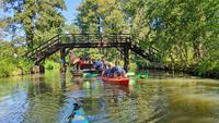 Paddeltour rund um Lübbenau im Spreewald &ndash; &copy; Kristin Weigel (Eberhardt TRAVEL)