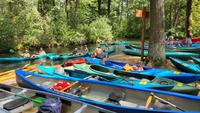 Paddeltour rund um Lübbenau im Spreewald &ndash; &copy; Kristin Weigel (Eberhardt TRAVEL)