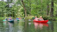 Paddeltour rund um Lübbenau im Spreewald &ndash; &copy; Kristin Weigel (Eberhardt TRAVEL)