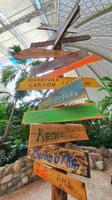 Im Freizeitpark Tropical Islands - Brandenburg