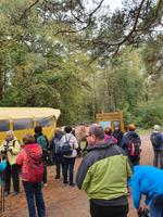 Rundwanderung Darss &ndash; &copy; Detlef May (Eberhardt TRAVEL)