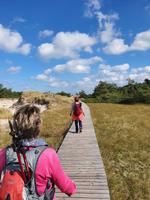 Rundwanderung Darss &ndash; &copy; Detlef May (Eberhardt TRAVEL)