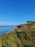 Steilküste zwischen Wustrow und Ahrenshoop &ndash; &copy; Detlef May (Eberhardt TRAVEL)