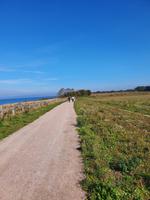 ...nach Ahrenshoop &ndash; &copy; Detlef May (Eberhardt TRAVEL)