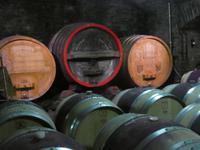 Winzergenossenschaft Mayschoss &ndash; &copy; Kerstin Hugel (Eberhardt TRAVEL)