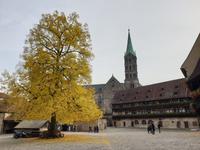 Bamberg (22) &ndash; &copy; Benjamin Rodriguez Manzanares (Eberhardt TRAVEL)