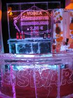 Eisbar &ndash; &copy; Eberhardt TRAVEL (Eberhardt TRAVEL)