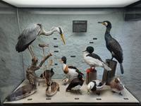 Darßer Ort - NATUREUM &ndash; &copy; Katrin Deutschbein (Eberhardt TRAVEL)