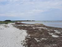 Prerow &ndash; &copy; Katrin Deutschbein (Eberhardt TRAVEL)