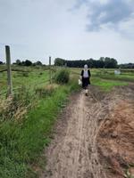 Bodden-Wanderung von Althagen nach Wustrow &ndash; &copy; Katrin Deutschbein (Eberhardt TRAVEL)