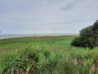 Bodden-Wanderung von Althagen nach Wustrow &ndash; &copy; Katrin Deutschbein (Eberhardt TRAVEL)
