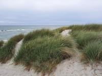 Weststrand &ndash; &copy; Katrin Deutschbein (Eberhardt TRAVEL)
