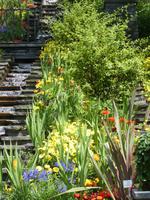 Insel Mainau &ndash; &copy; Kerstin Hugel (Eberhardt TRAVEL)