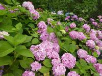 Insel Mainau &ndash; &copy; Kerstin Hugel (Eberhardt TRAVEL)