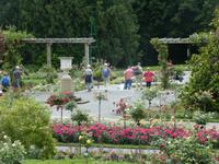 Insel Mainau &ndash; &copy; Kerstin Hugel (Eberhardt TRAVEL)