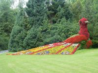 Insel Mainau