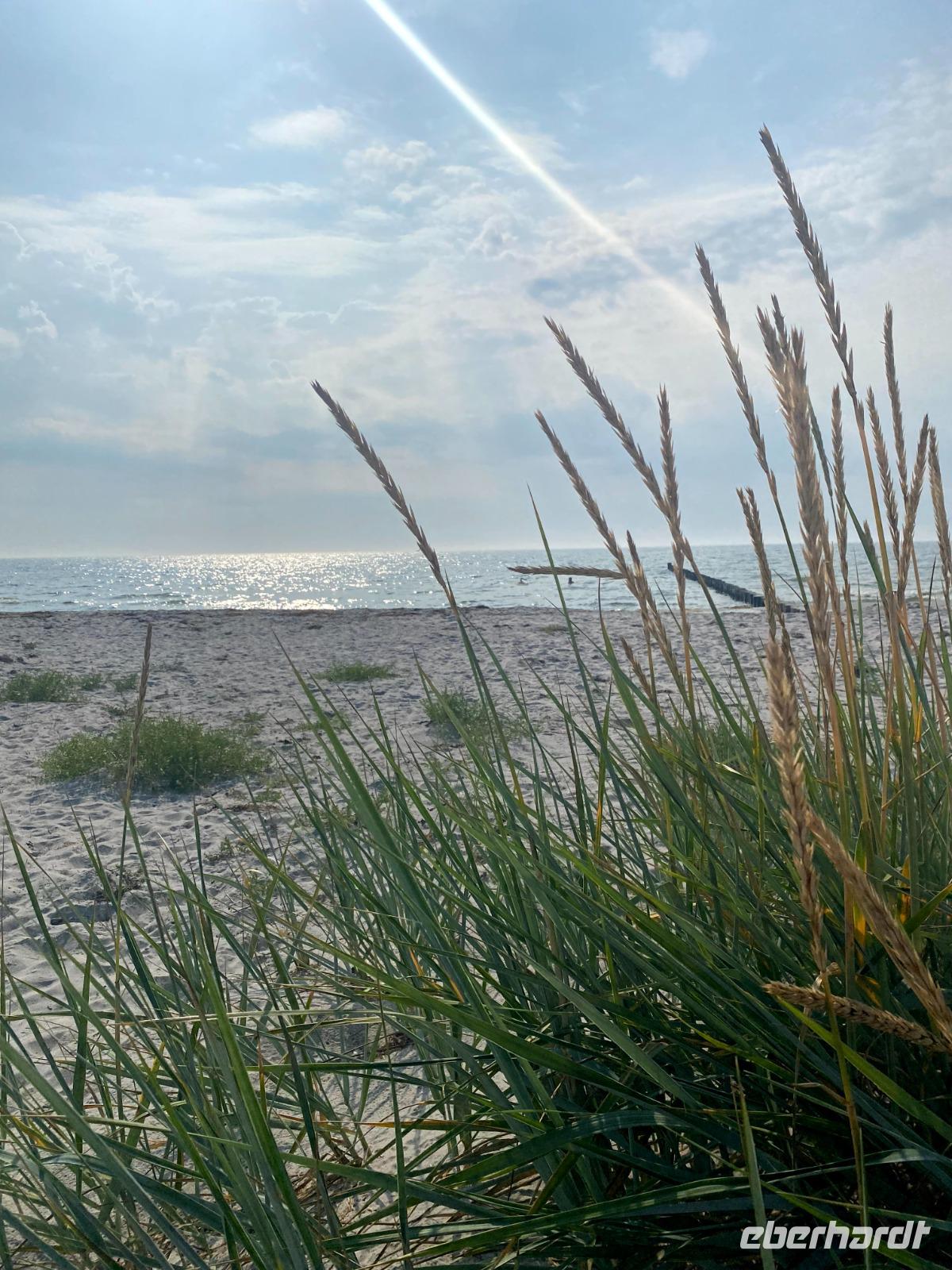 Hiddensee  &ndash; &copy; Lea Weigmann (Eberhardt TRAVEL)