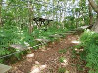 Kletterweg Hohe Düne &ndash; &copy; Gisela Gerlach (Eberhardt TRAVEL)