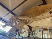 Im Nationalparkhaus &ndash; &copy; Mathias Schirmer (Eberhardt TRAVEL)