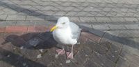 unsere Freunde warten....jpg &ndash; &copy; Uta Hertel (Eberhardt TRAVEL)